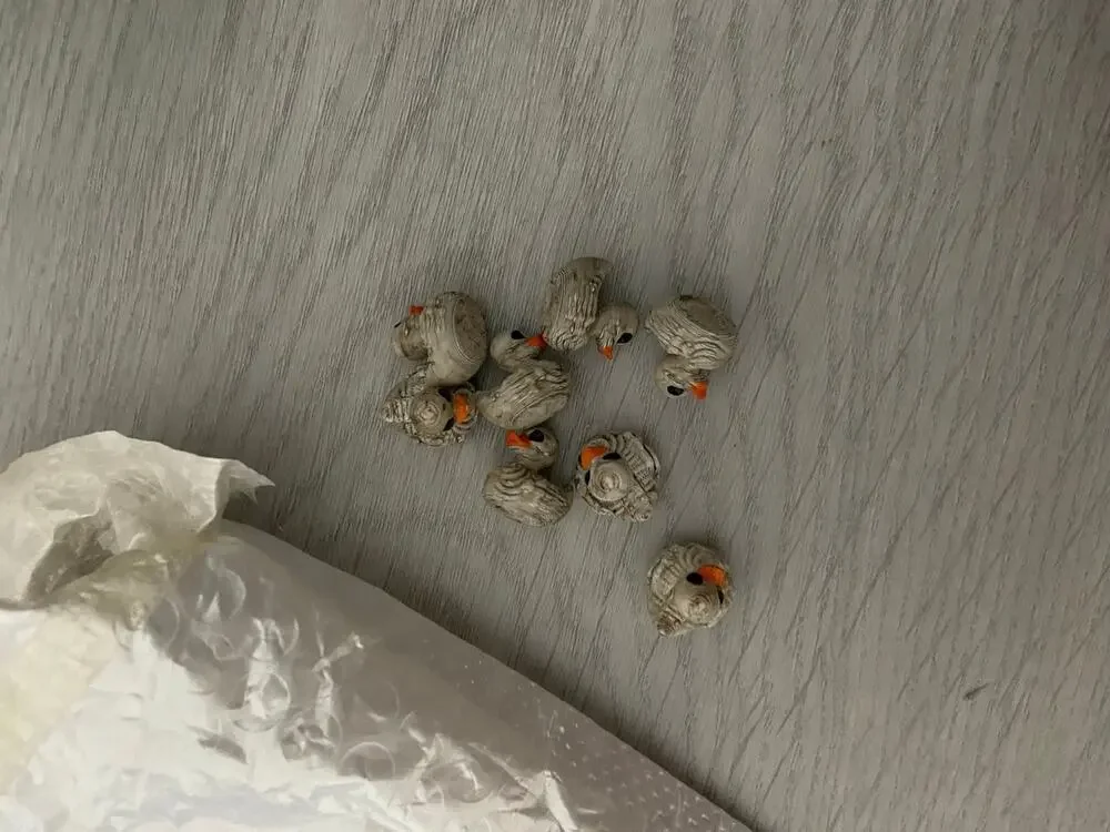 10 piece mini Halloween mummy duck figures